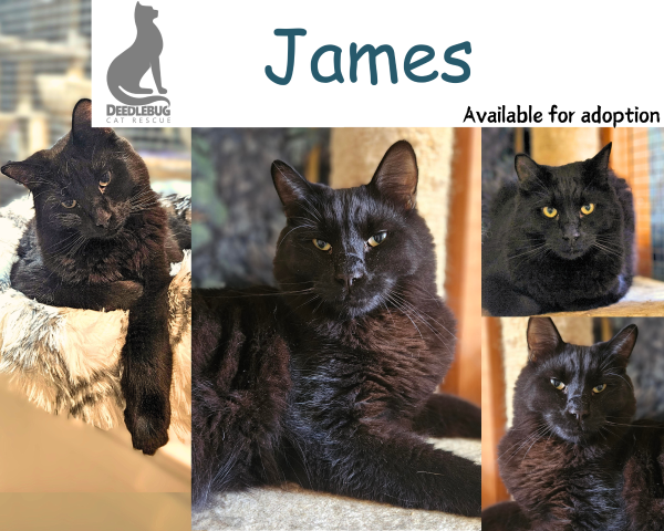 James