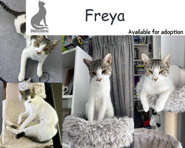 Freya