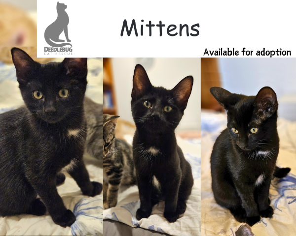 Mittens