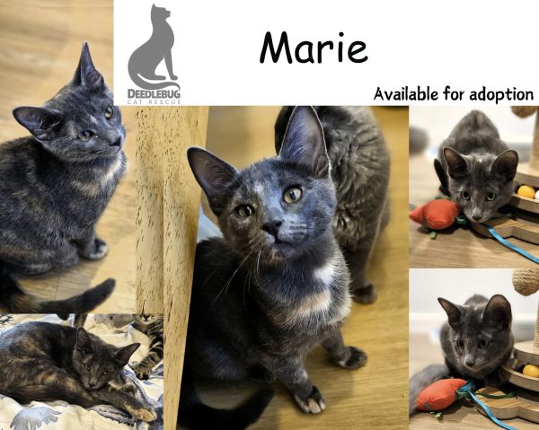 Marie