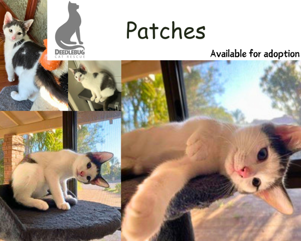 Patches