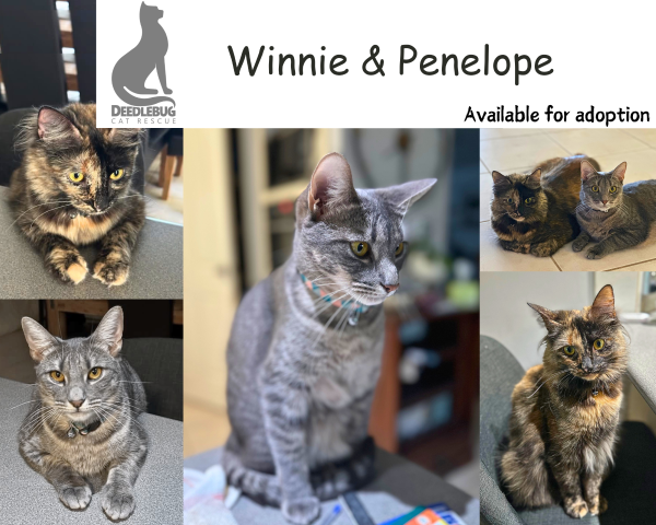 Winne & Penelope