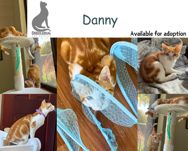 Danny