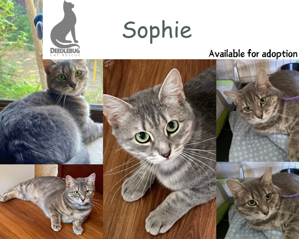 Sophie